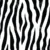 Animal Print Zebra