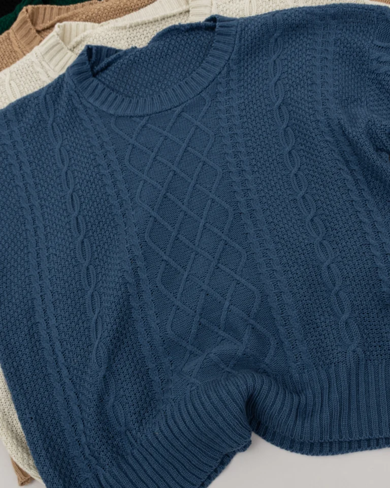 SW493 B