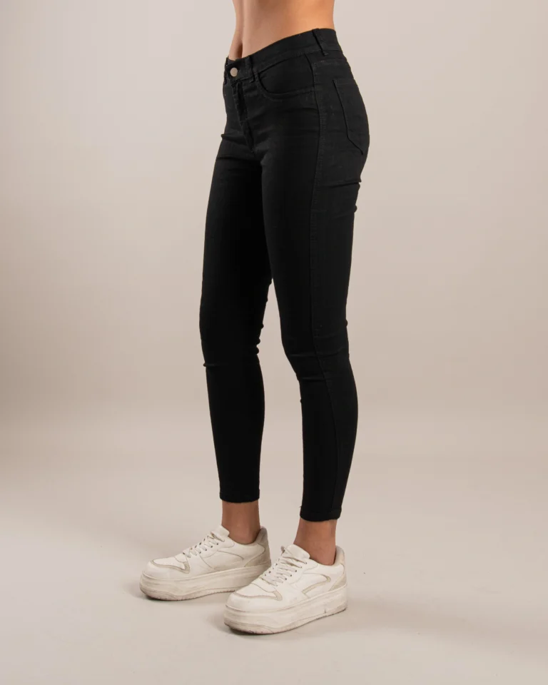 JEA1079 D