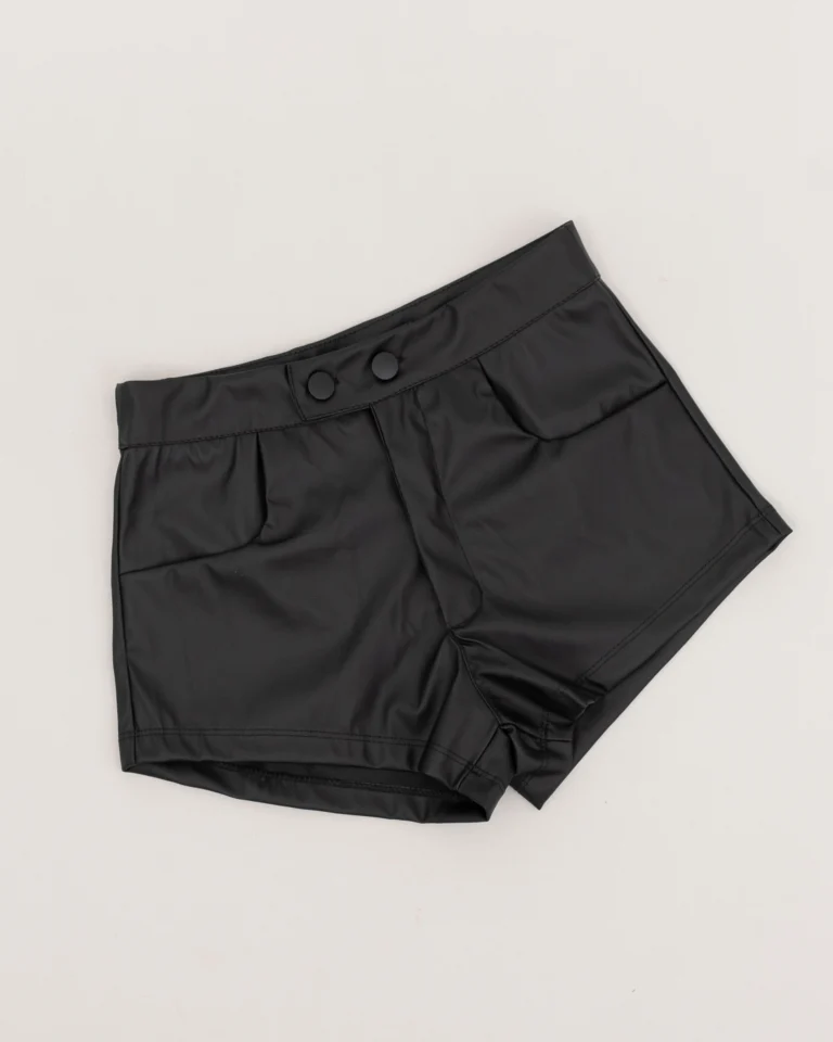 sh2001 1